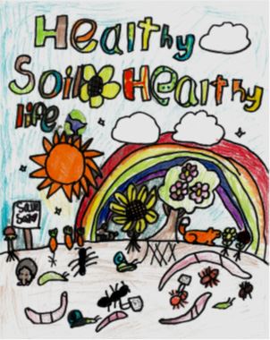 The winning poster by Morgan’. It features a variety of soil organisms and is very colorful.