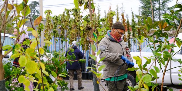 A man standing in front of young trees in a parking lot.