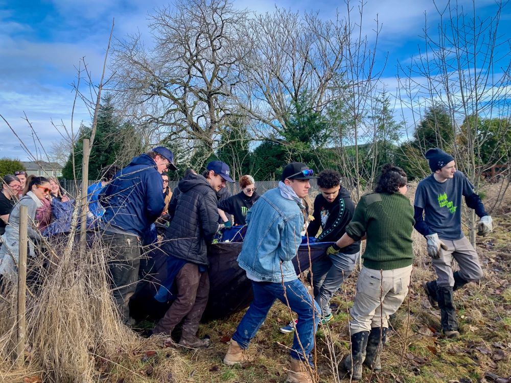 At Pioneer Place II the whole team carries out a heavy tarp full to the brim with invasive plants
