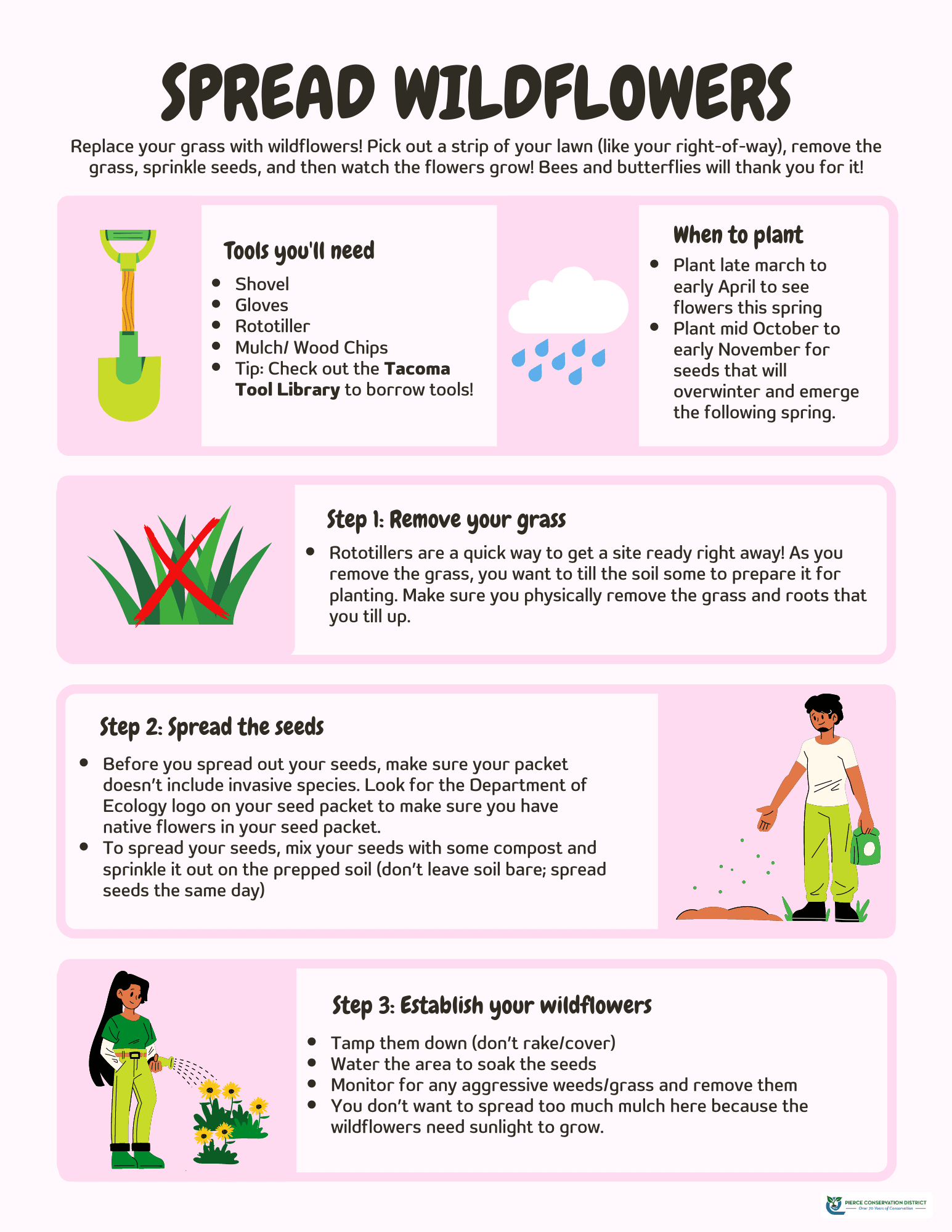 Evergreen Understory Info Sheet