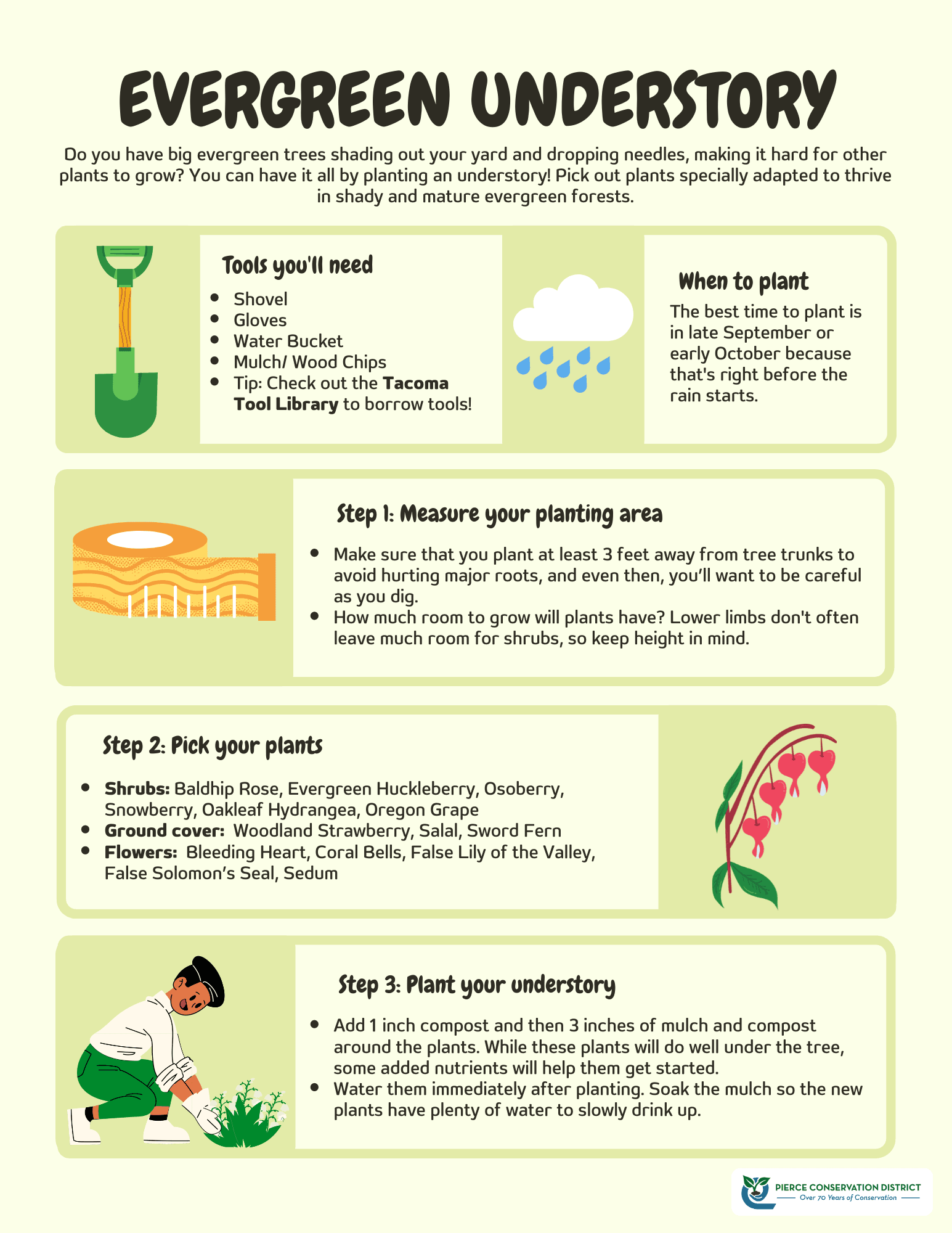 Evergreen Understory Info Sheet