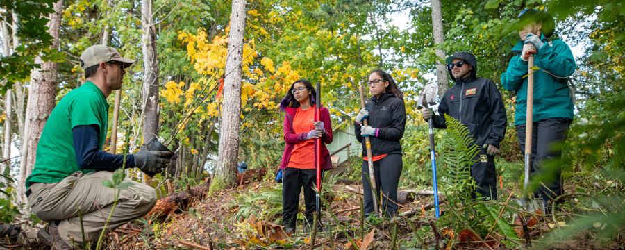 A PCD staff member showing volunteers how to plant trees at Orca Recovery Day.