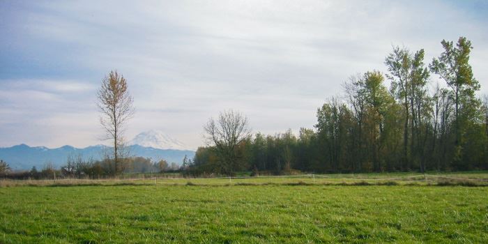 A pasture in Pierce County with a view of Mount Rainier in the background.