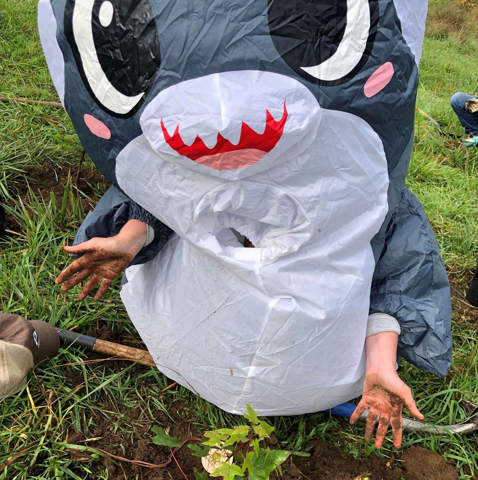 Dana wears an inflatable orca suit and presents the planted tree!