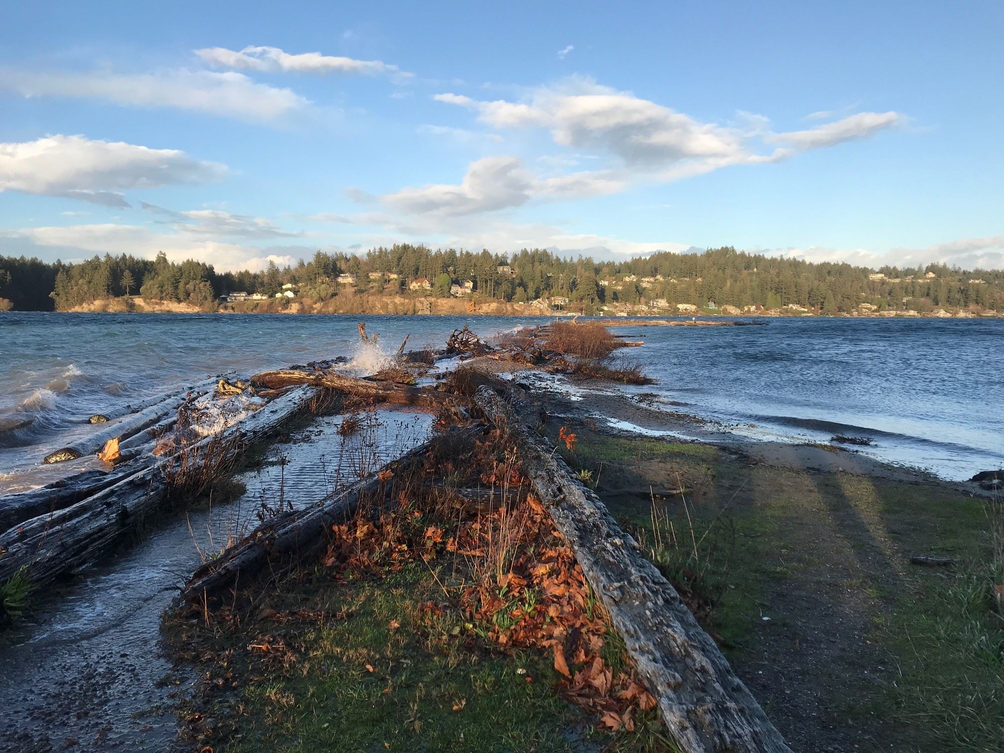 Tide washed in to the edge of a sand spit.