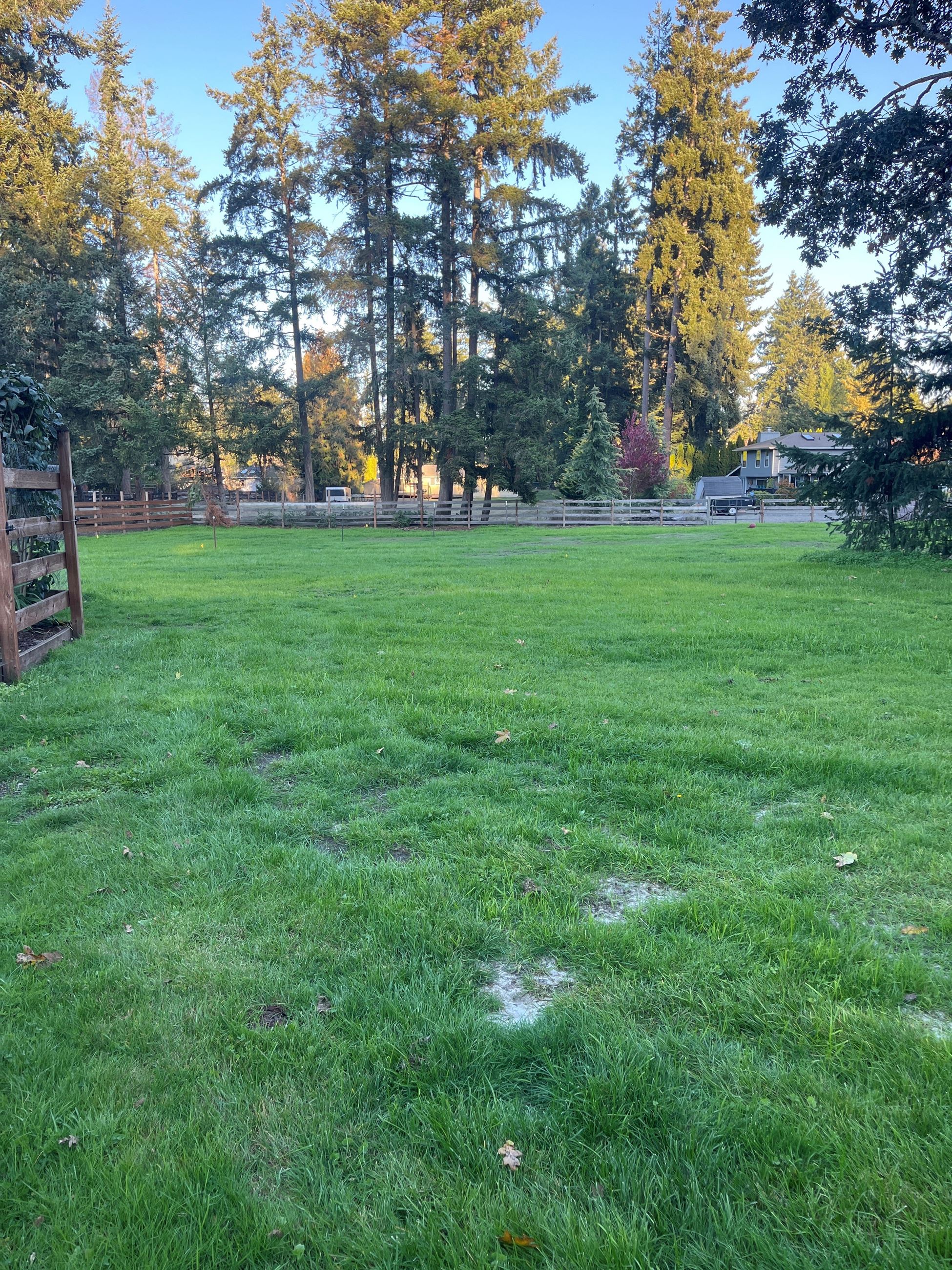 A re-seeded and limed pastured that Sustainable Farms and Fields funding paid for.