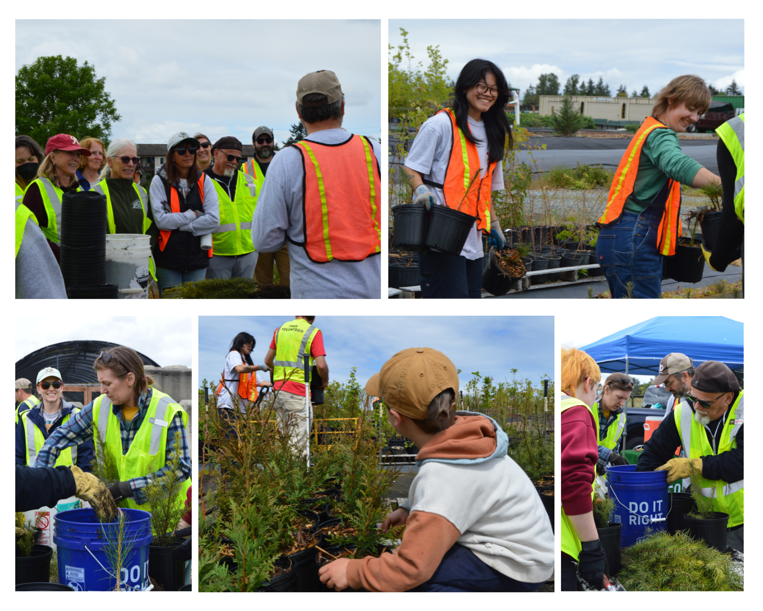 A collage of various volunteers and PCD staff smiling or working hard at the tree potting party