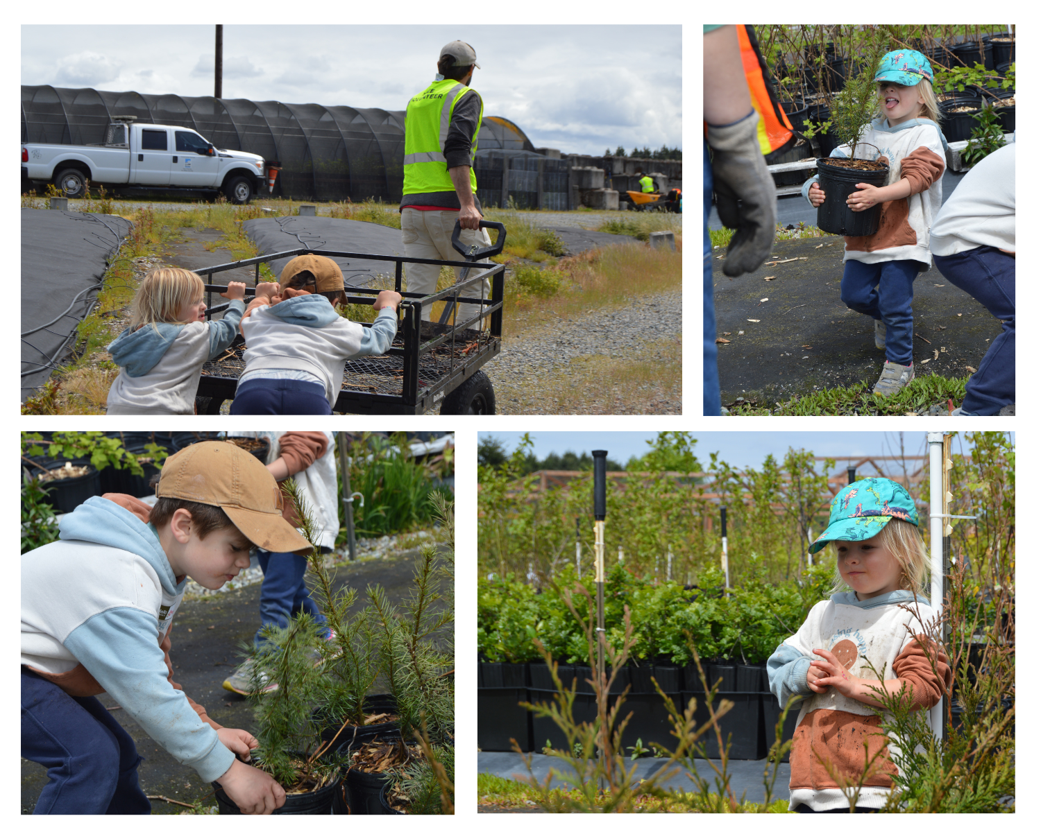 A collage of a few members from a family that came to help with potting & tree transport