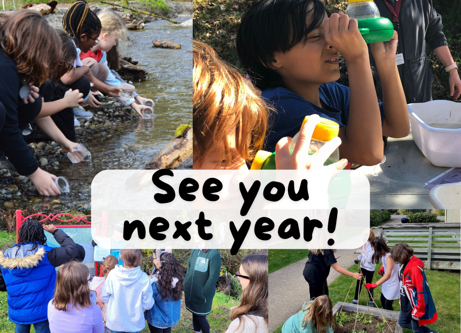 A collage of students at the stream, in the garden and looking at macroinvertebrates.