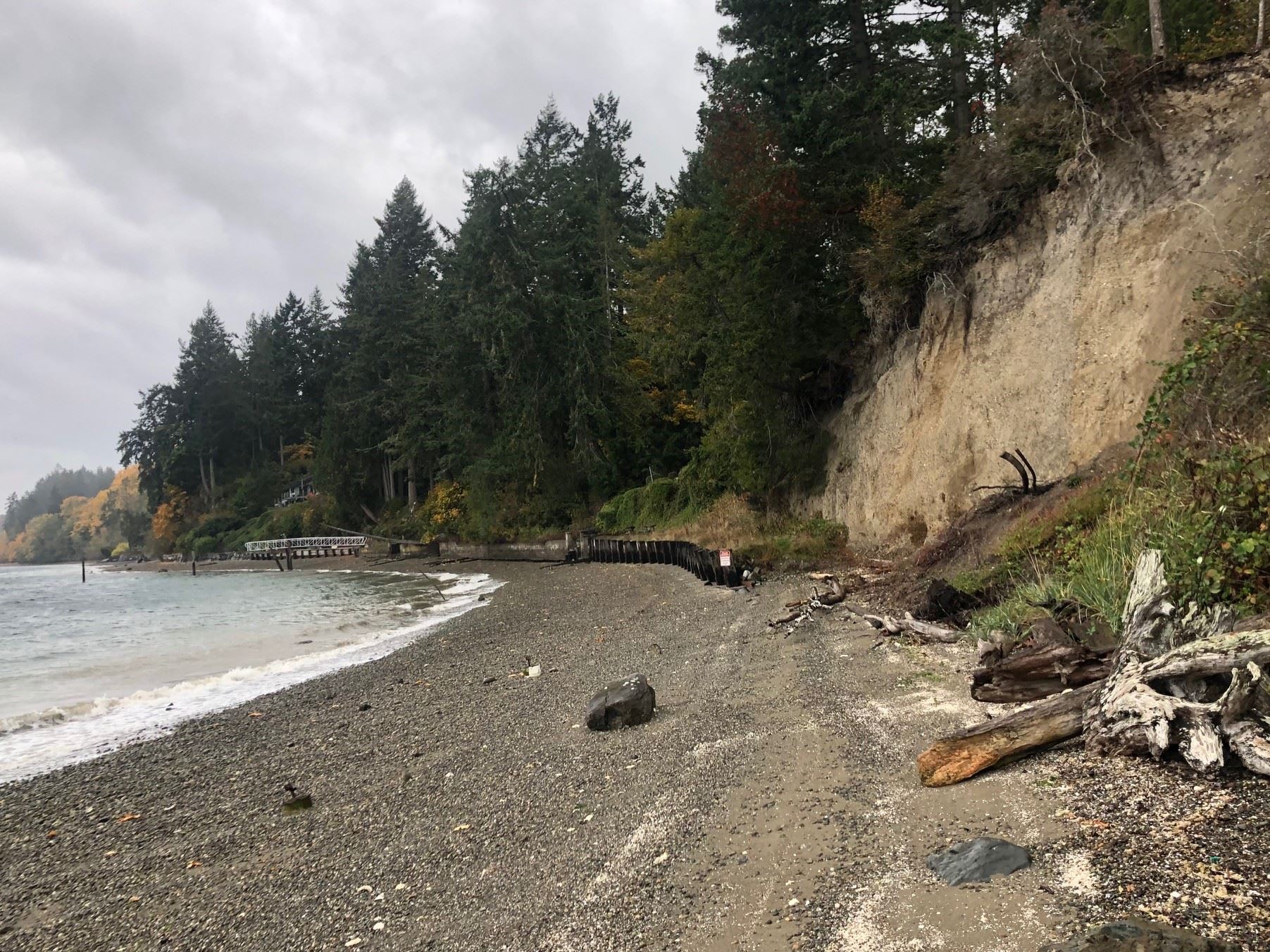 Key Peninsula shoreline