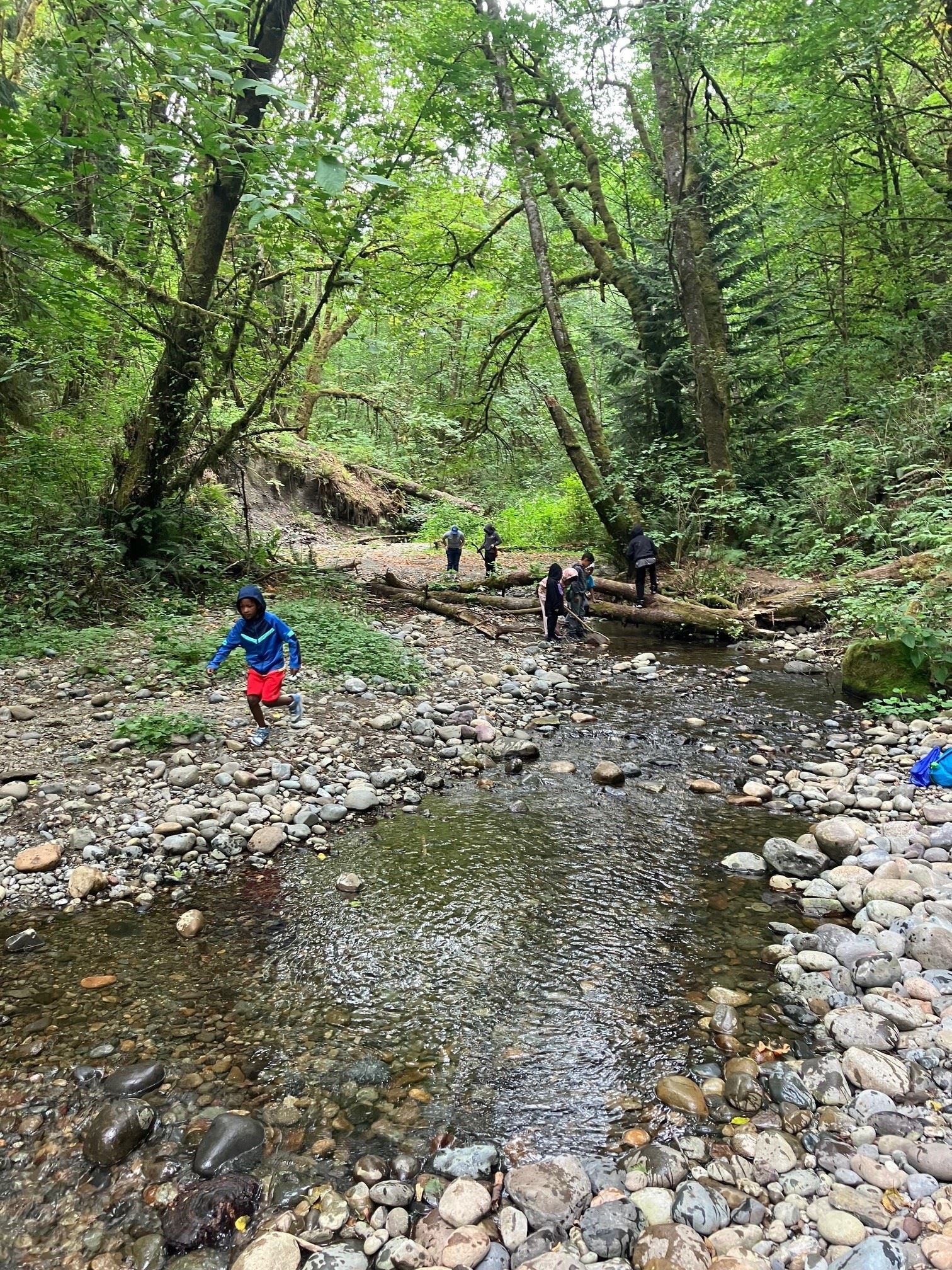 Students playing by the creek at eco-camp