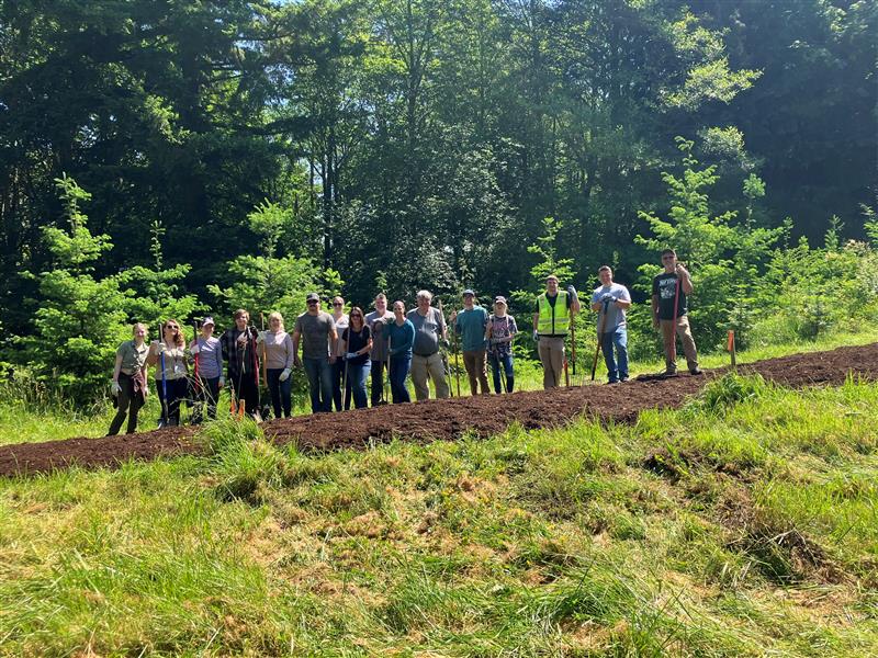 Volunteers stand behind a freshly planted strip on a sunny day