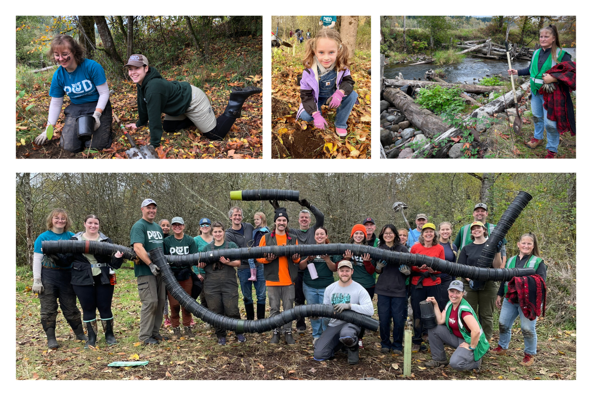 Collage of volunteers at south prairie creek preserve planting party