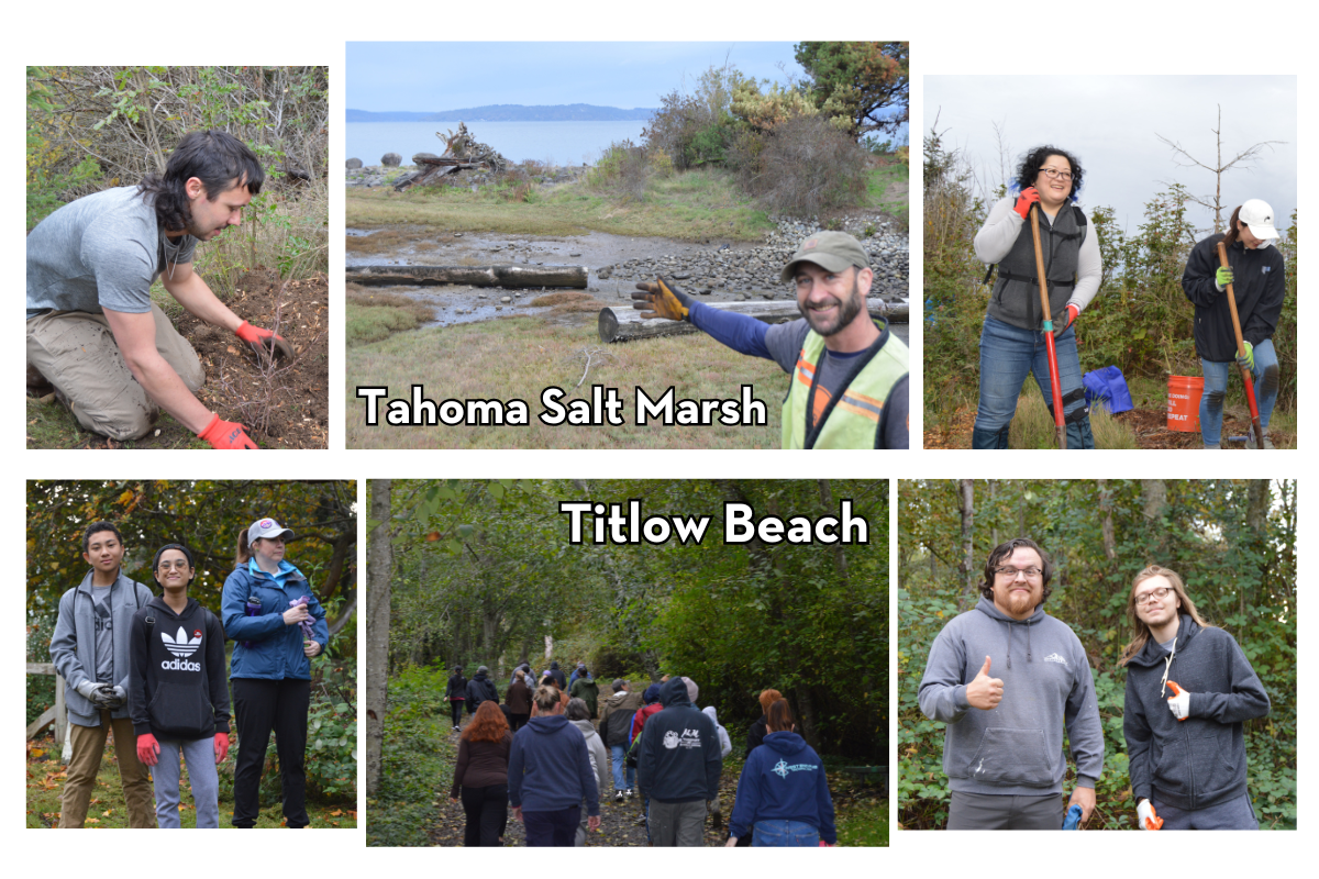 Collage of volunteers and partners at Titlow Beach and the Tahoma salt marsh