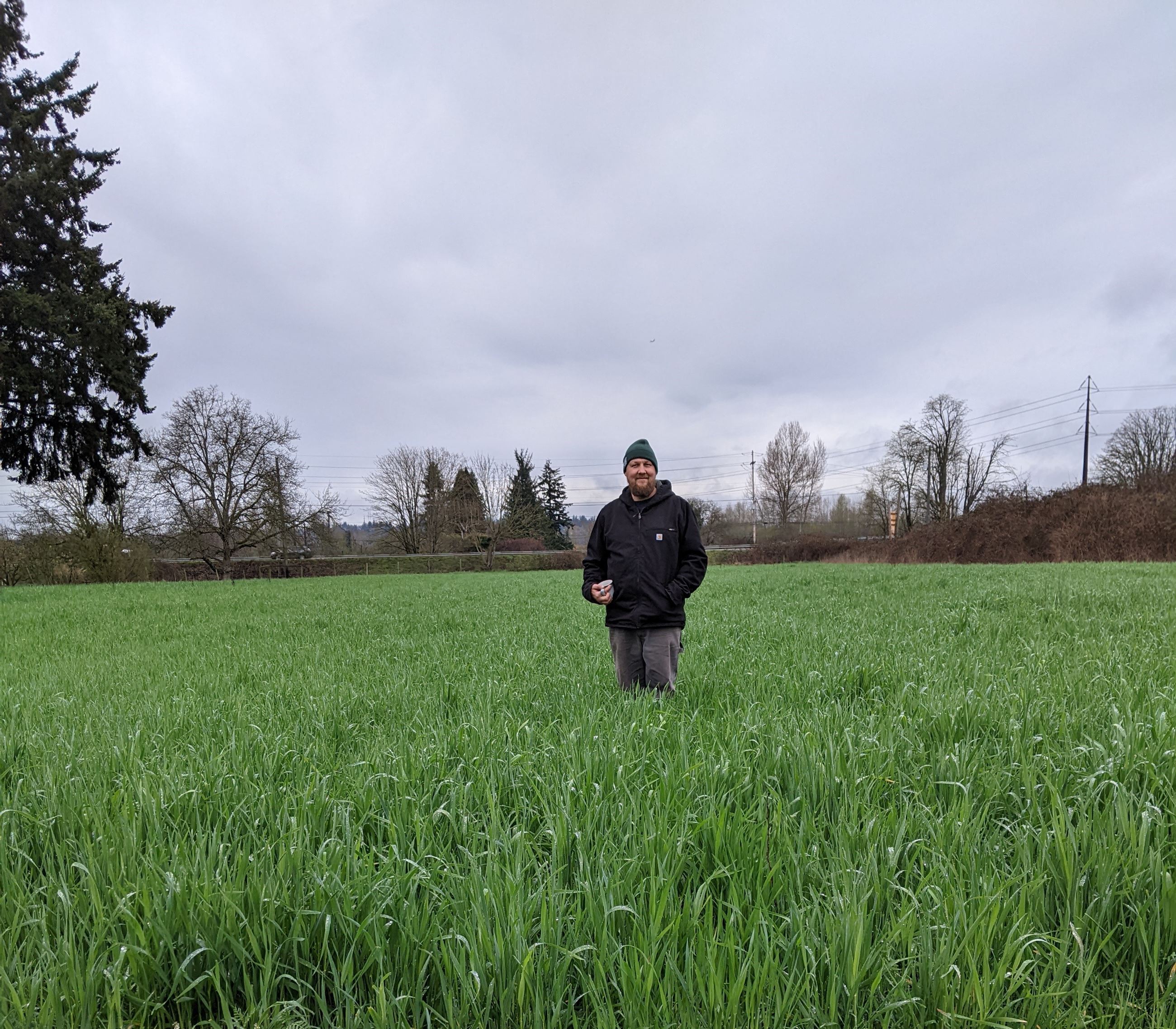 A person standing in a field of cover crop rye.