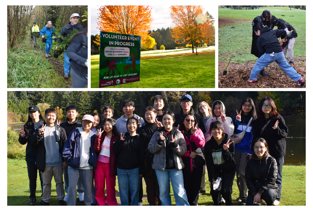 Pictures of hardworking volunteers on a sunny day of local restoration work