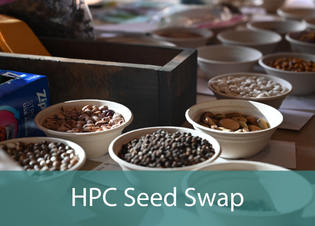 Graphic that reads \