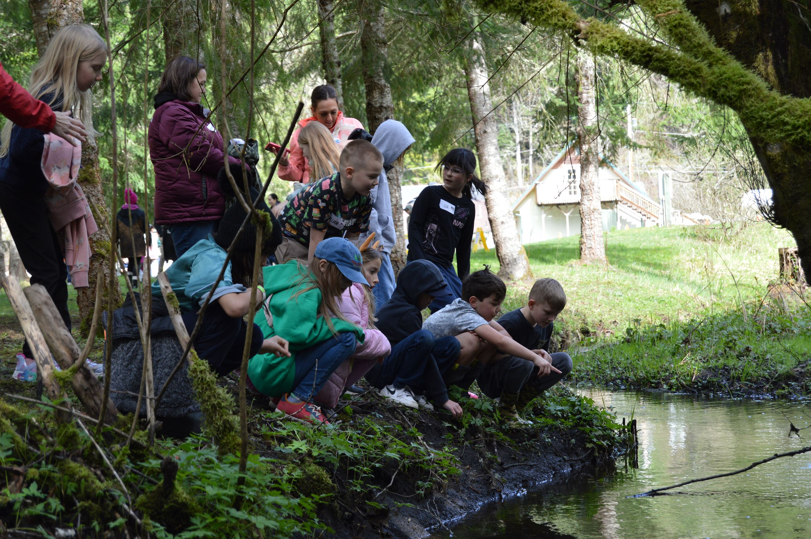 Students crouch by a stream to look at released salmon fry