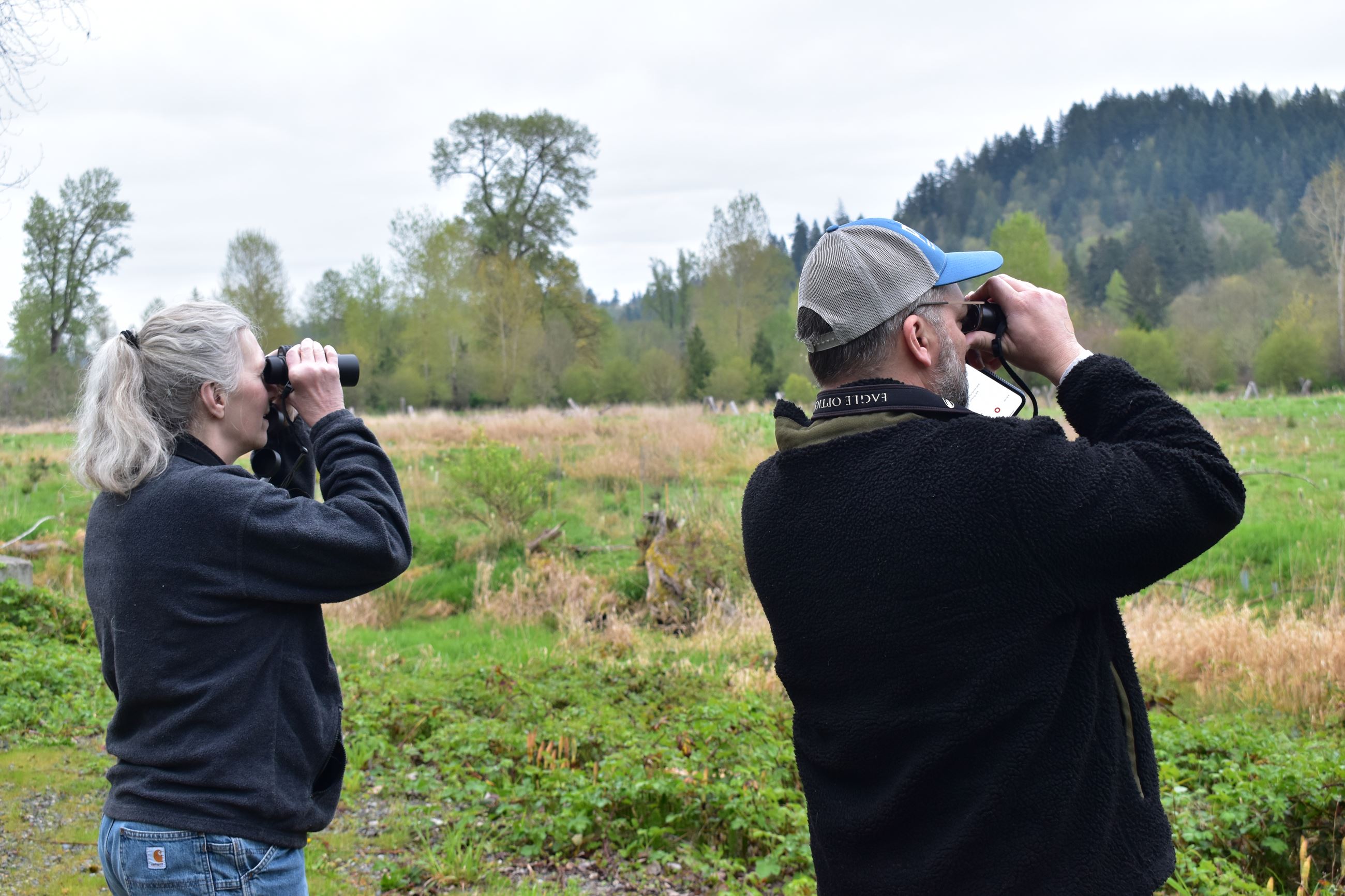 Birds looking out across SPCP.