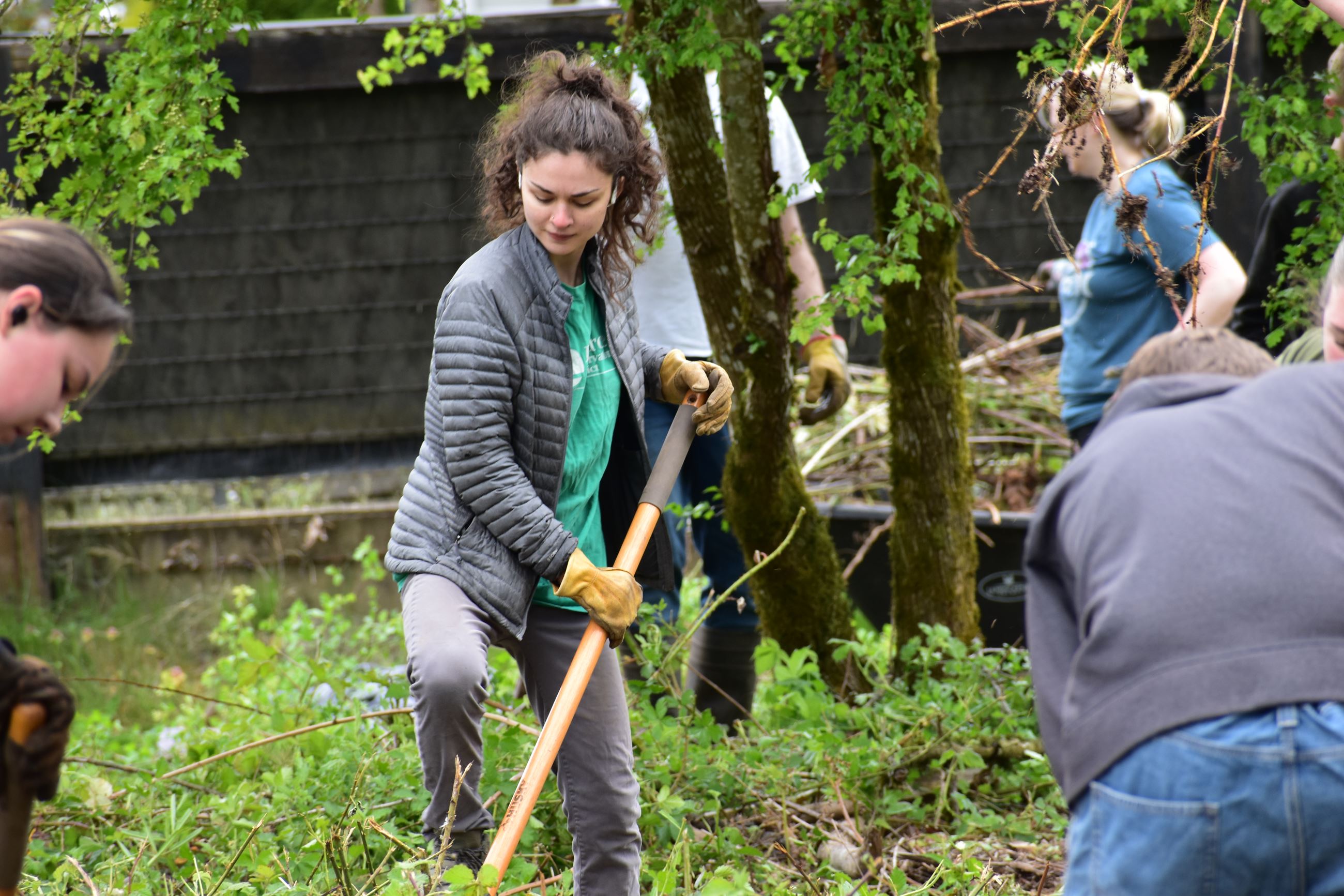 Volunteers tackling blackberry at Nelson Nature Park.