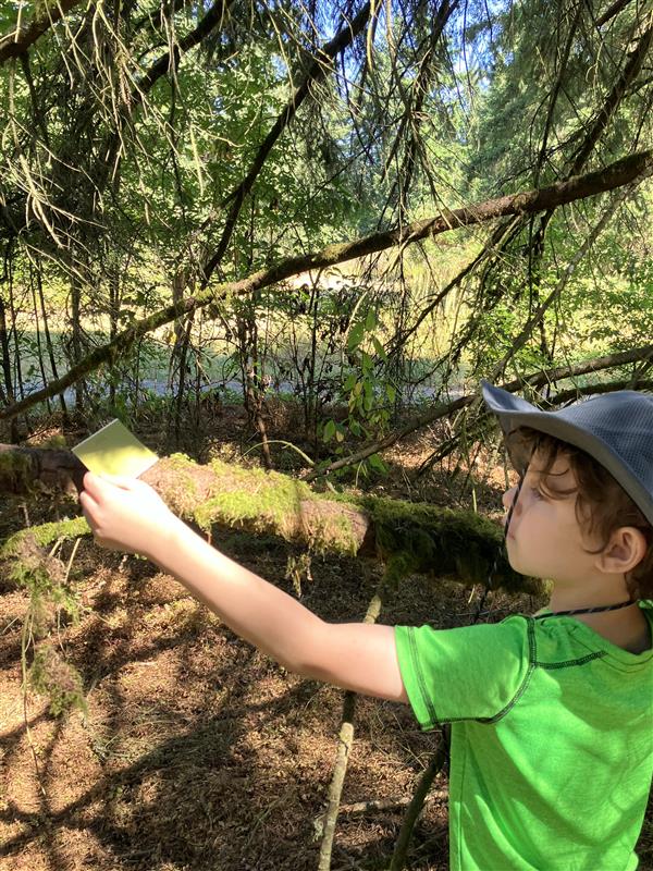 Student looks for moss that matches their green color swatch