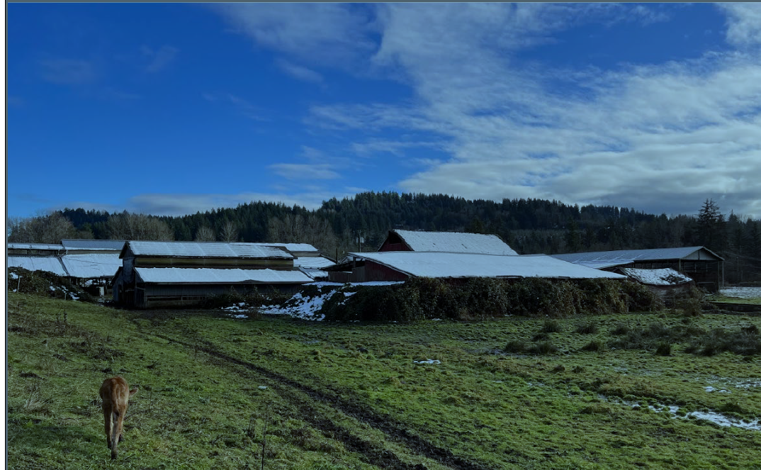 A landscape shot of Soler Farm buildings.