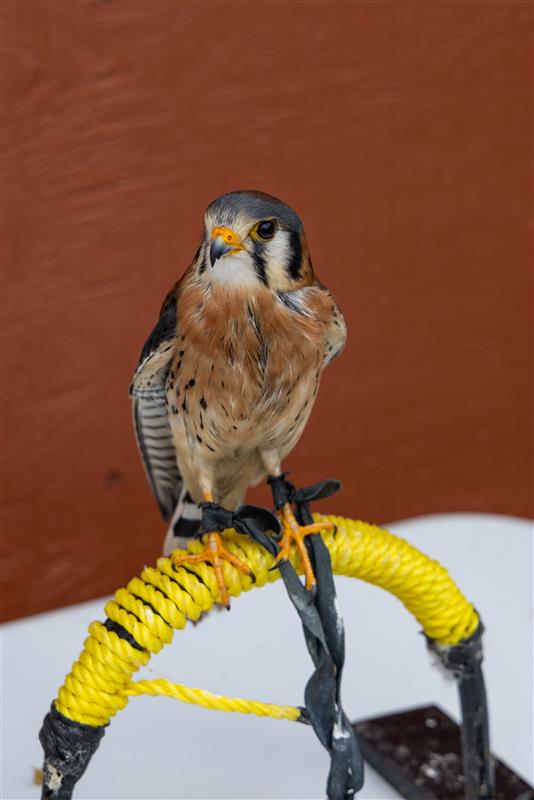 d3f18075-1480-467d-82f1-82a03c8d88ec