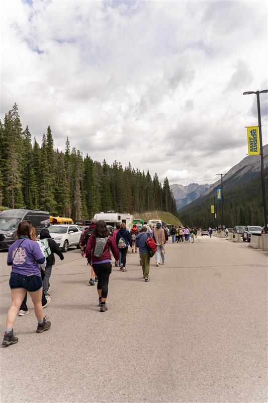 391200ff-7ea5-46b6-82b7-3a113a9f36a7