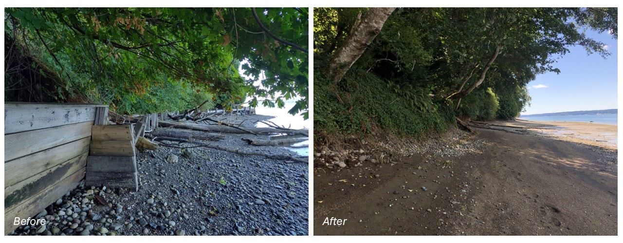 Before and After pictures of Henderson Bay