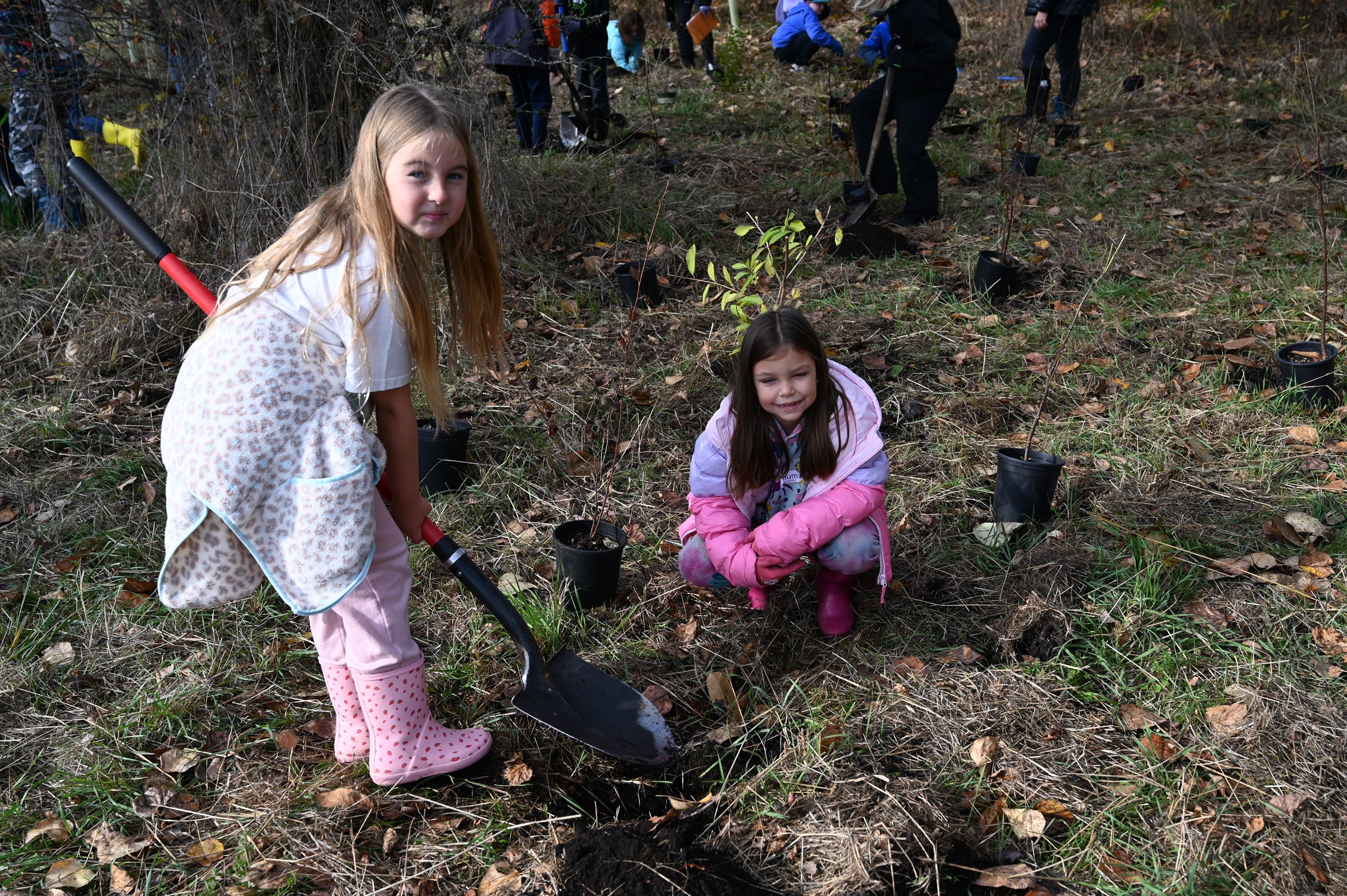 Two young girls planting a native plant together.