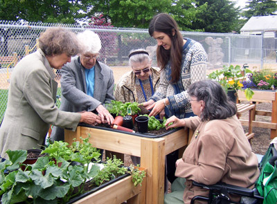 A group of women gardening an above ground garden